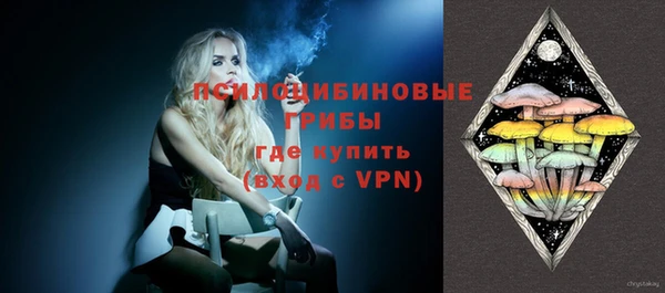spice Вязьма