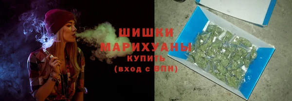 гидра Вязники