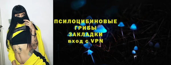 герыч Вяземский