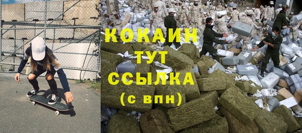 гидра Вязники