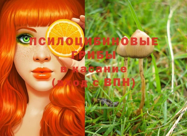 гидра Вязники