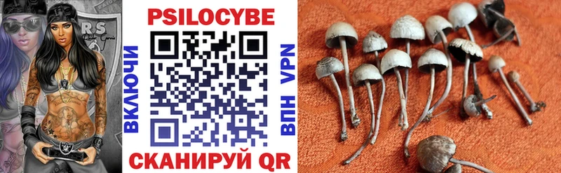 Псилоцибиновые грибы мицелий  где продают   Зуевка 